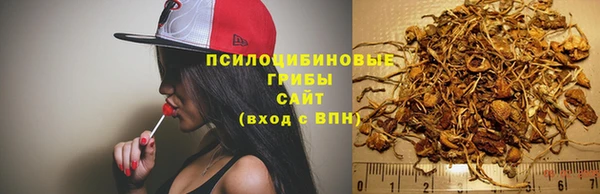 круглые Алзамай