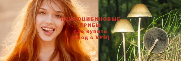 круглые Алзамай