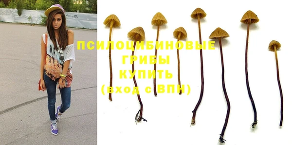 мескалин Абинск