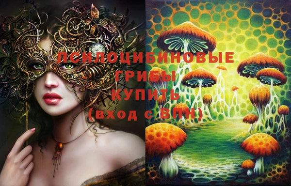 стафф Абдулино