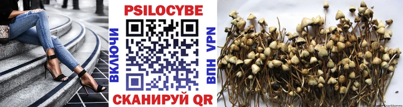 Псилоцибиновые грибы Magic Shrooms закладка Лебедянь